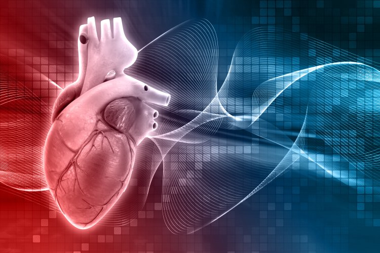 What are the Potential Heart Conditions That Can Be Diagnosed By Each Department Of The Hospital?