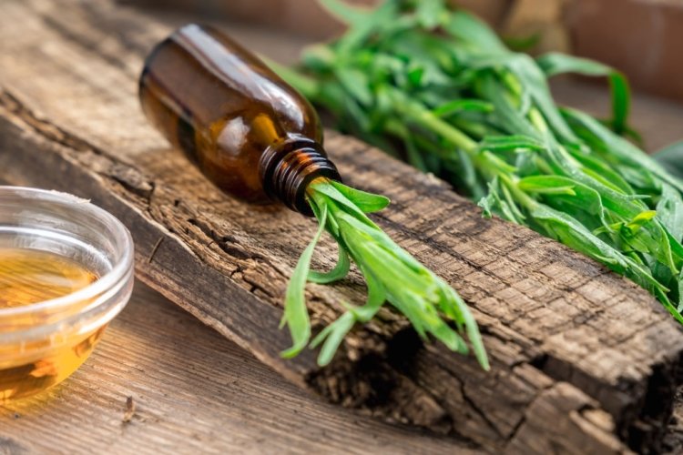 Top Four Essential Oils From India - Eucalyptus, Basil, Black pepper, and Clove!